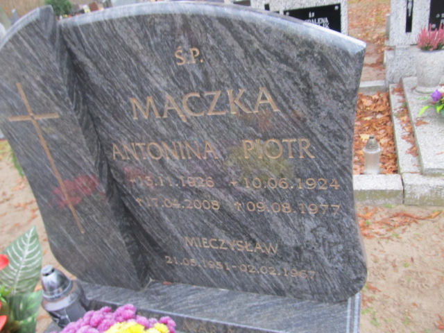Mieczysław Mączka 1951 Trzciel - Grobonet - Wyszukiwarka osób pochowanych