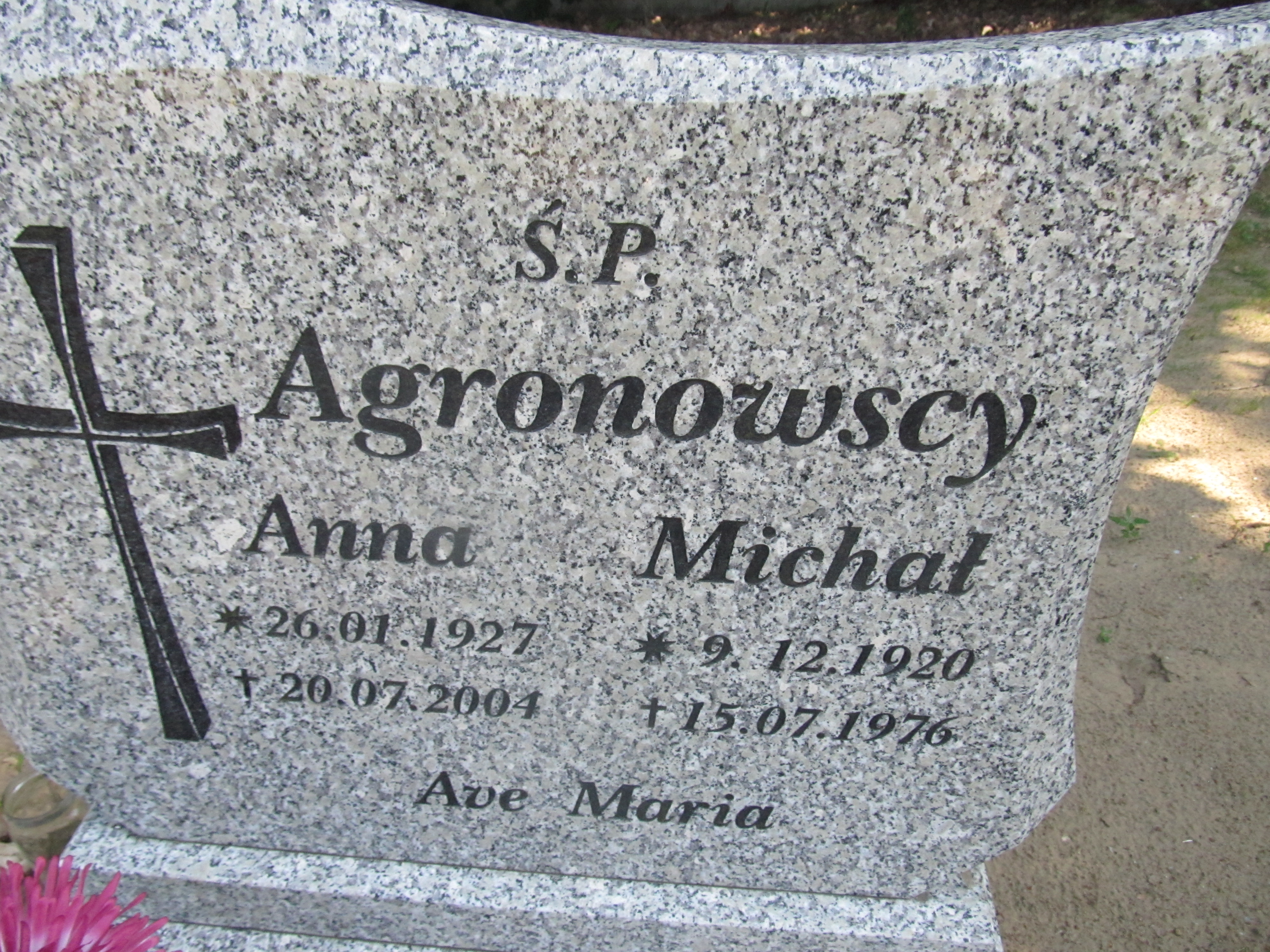 Michał Agronowski 1920 Trzciel - Grobonet - Wyszukiwarka osób pochowanych